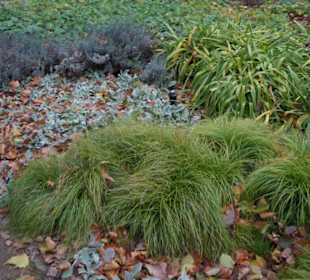 Parkanlage Planten un Blomen