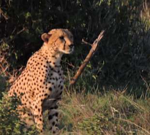 Tsavo Ost Nationalpark