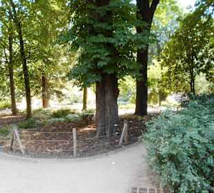 Garten l’Hôtel-de-Ville