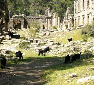 Lyrbe Idylle weg vom Massentourismus