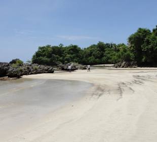 Samana-Las Terrenas Tour