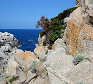In den Granitfelsen des Capo Testa