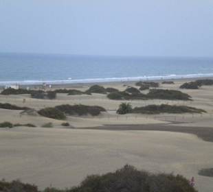 Dünen von Playa de Ingles