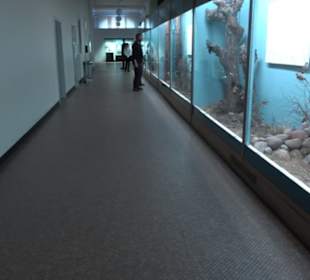 Museum für Naturkunde
