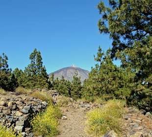 Pico del Teide