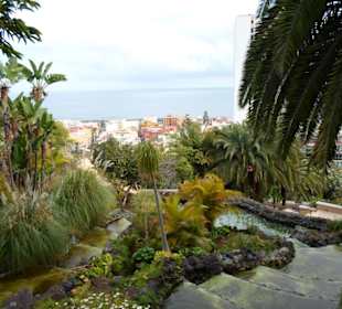 Ausblick über Taoro Garden