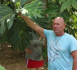 Bloemi´s Pflanzenkunde