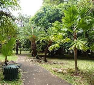 Botanischer Garten