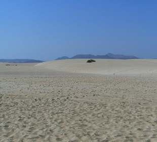 Sand dunes spiaggia