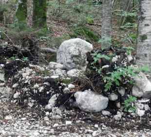 V lese pod Triglavem