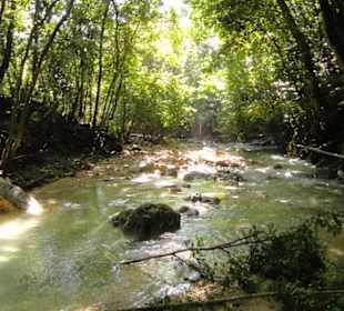 Dschungel Trekking Tour