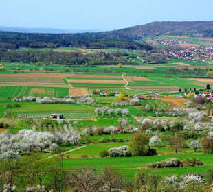 Aussicht grenzenlos