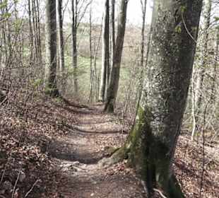 Wanderweg Hochgehkämpft
