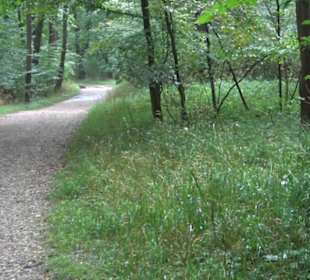 Monopteros in Nymphenburg