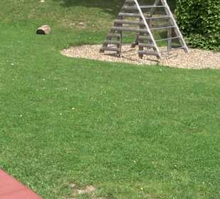 Eugen-Hornberger-Halle