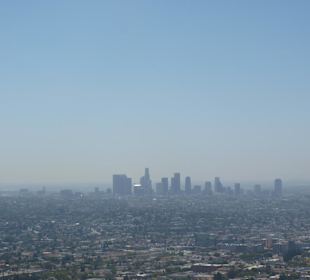 Die Skyline L.A.