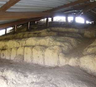 Eins der wenigen Ausgrabungen in der Anlage