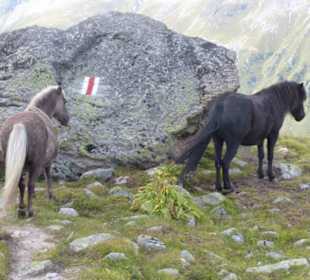 Naturparadies