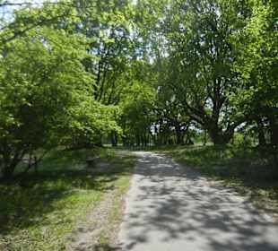 Naturschutzgebiet Boberger Niederung