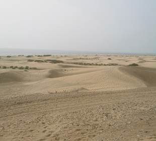 Dünen von Maspalomas