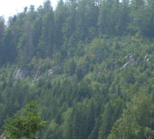 Parcul Natural Apuseni