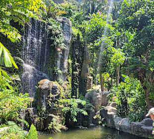 Monkey Trail