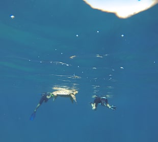 Schnorcheln Marsa Alam