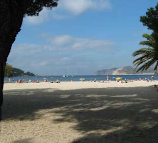 Strand