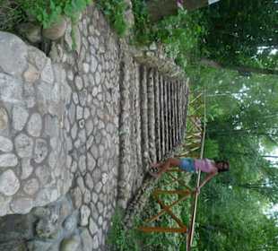 Источник в заповеднике