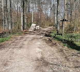 Hummelbergweg