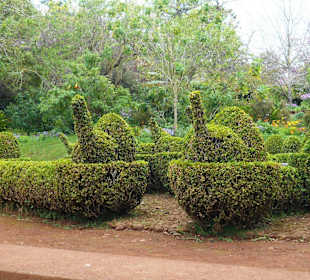 Palheiro Gardens