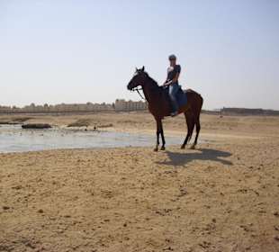 Ausritt am Strand