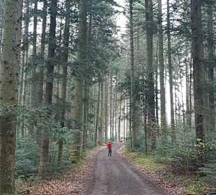 Wandern Freiamt