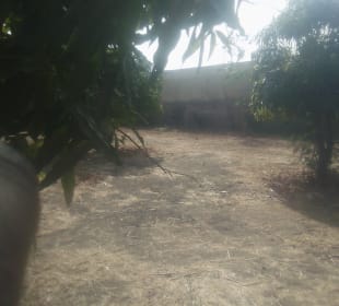 Gartenanlage