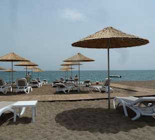 Sonnenschirme und Liegen am Strand