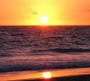 Sonnenaufgang Bavaro Beach