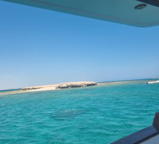 Delfin Tour Hurghada