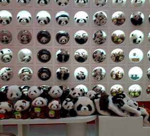 Dubai Mall China Town