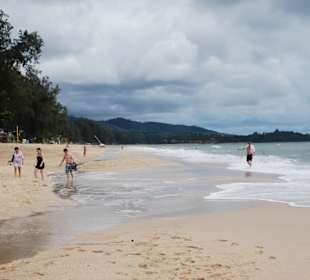 Eifriges Muschelsuchen!