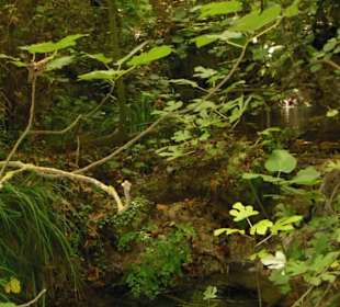 Mili Gorge Impression