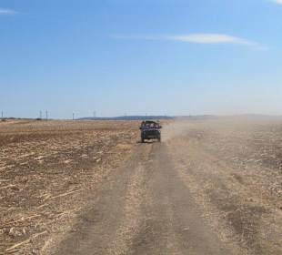Jeep Safari!