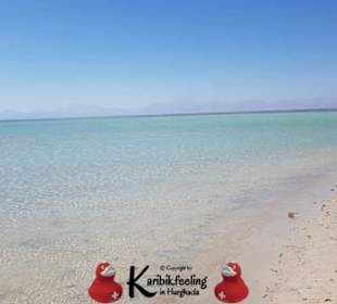 Https://karibikfeeling-in-hurghada.jimdo.com/