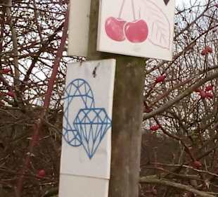 Kirschlandwanderweg in Schönenberg-Kübelberg