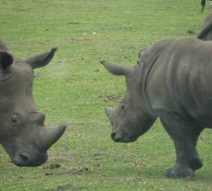 Serengeti Park Hodenhagen