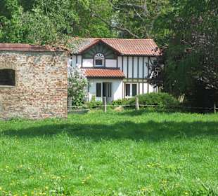 Haus auf der Schöninsel