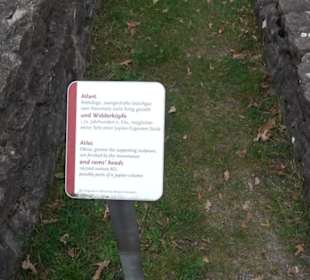 Gallorömischer Tempelbezirk