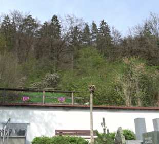 Friedhof Weiler