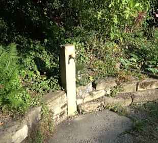 Interkultureller Gemeinschaftsgarten