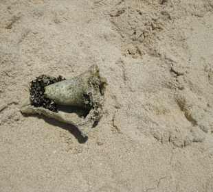 Auf der Paradies Insel 