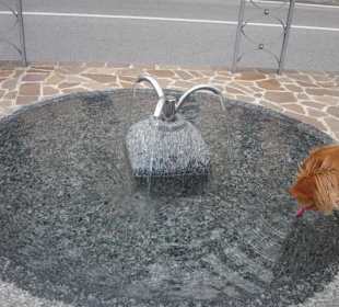 Uferpromenade Domaso Trinkbrunnen